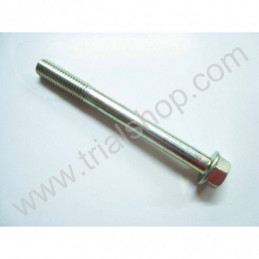 VITE FLANGIATA M6X60