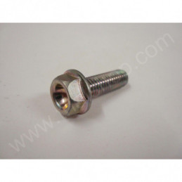 VITE FLANGIATA M8X25