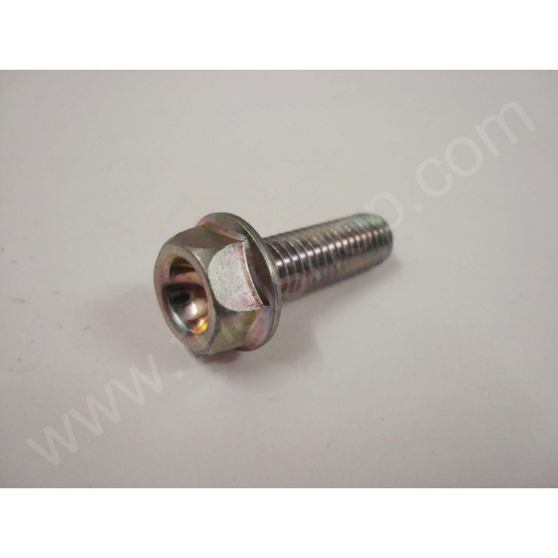 VITE FLANGIATA M8X25