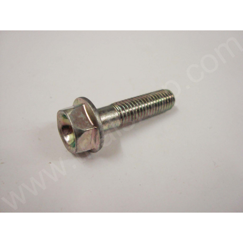 VITE FLANGIATA M8X32