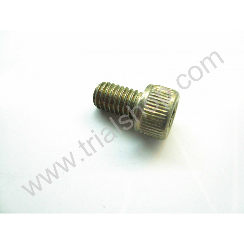 VITE BRUGOLA M6X10