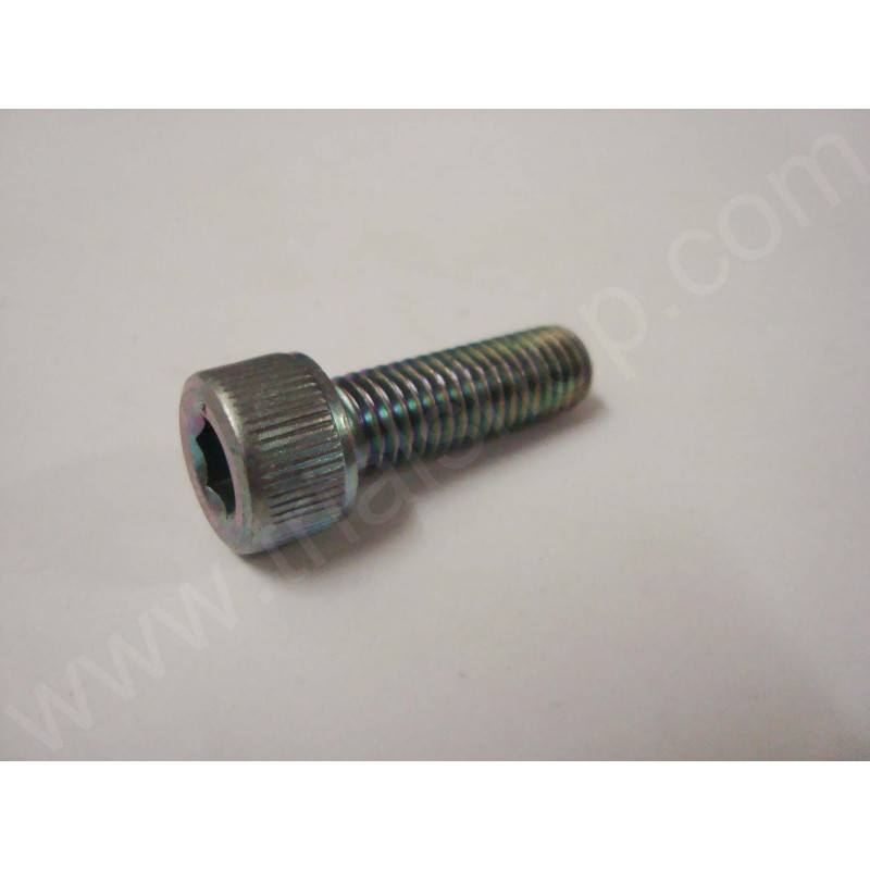 VITE BRUGOLA M8X25