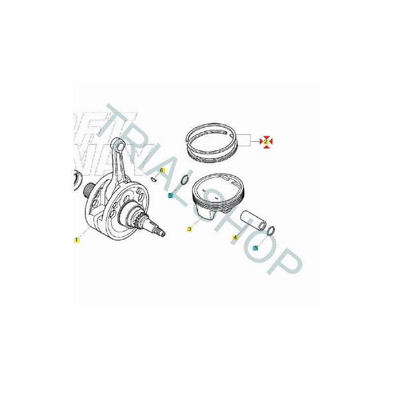 Gruppo segmenti Montesa Cota 300RR 2016