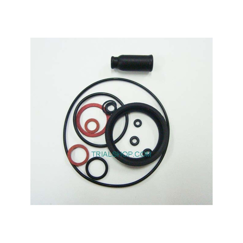 Kit guarnizioni carburatore Cota 2T