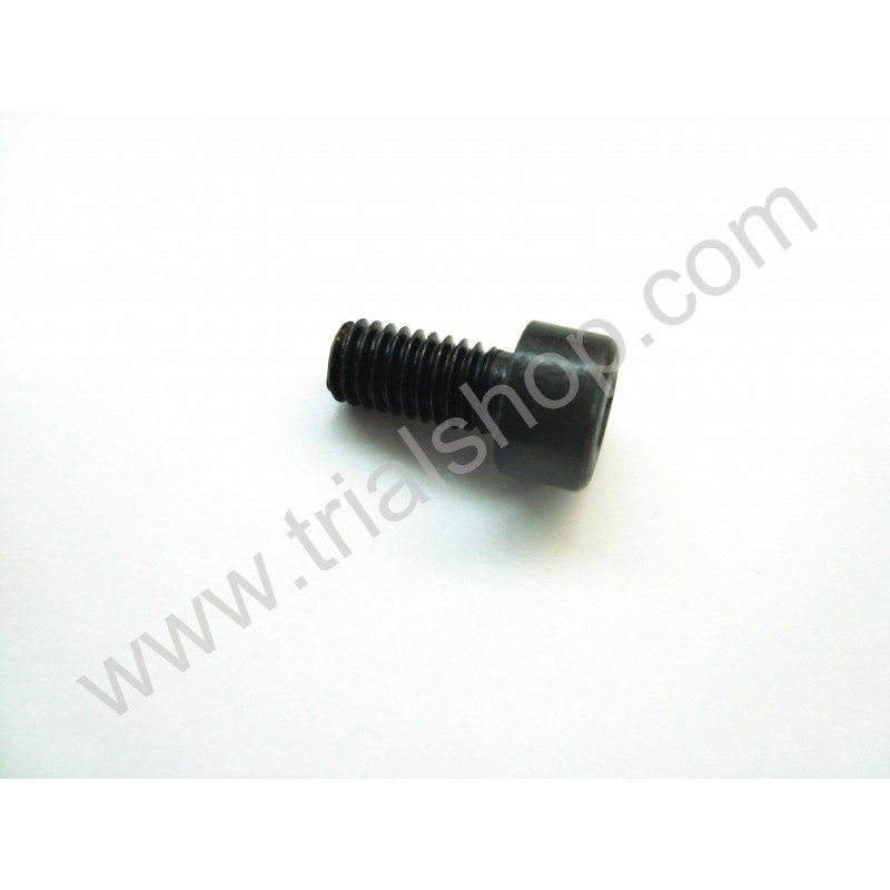 VITE BRUGOLA 6X12