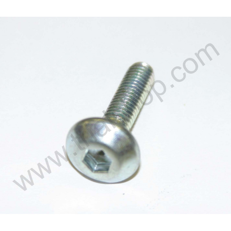 VITE M6X25