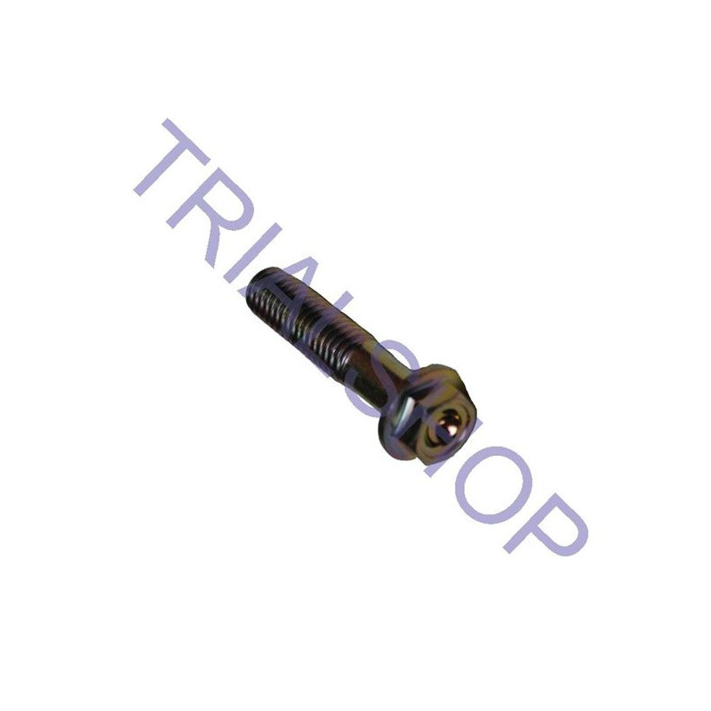 VITE FLANGIATA M8X35 MY09