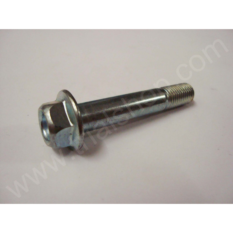 VITE FLANGIATA 10X57 COTA