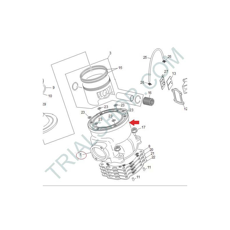 CILINDRO TR 300 FACTORY
