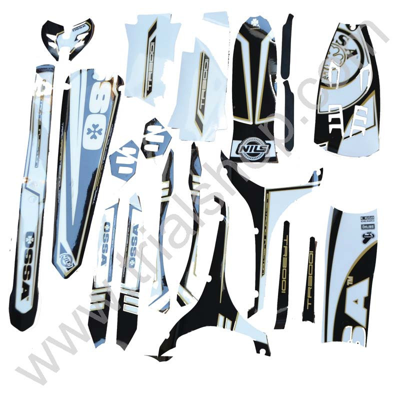 KIT COMPLETO OSSA Factory TR300i 2013