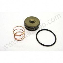 KIT REVISIONE PINZA