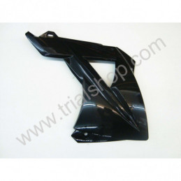 COPERCHIO RADIATORE DX NERO EC 2010