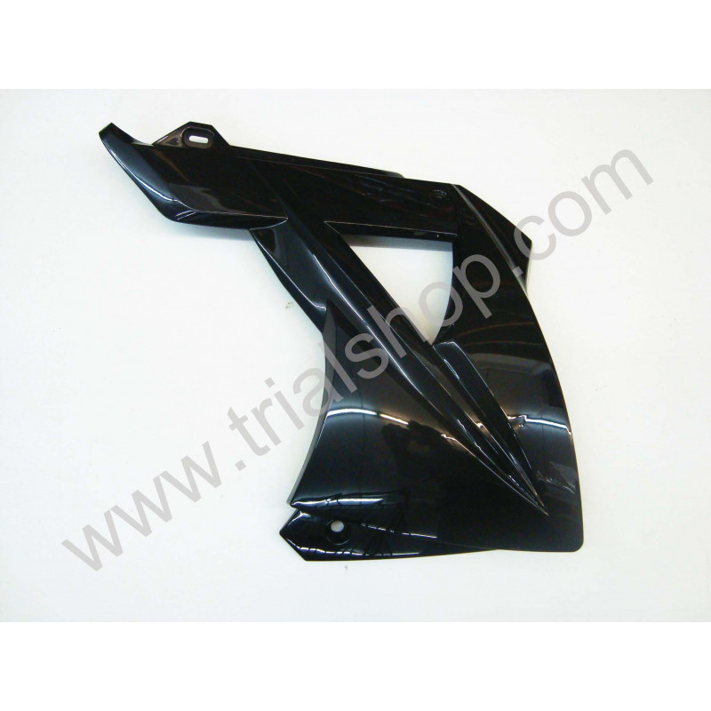 COPERCHIO RADIATORE DX NERO EC 2010