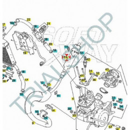 TUBO DI SCARICO TRIAL BOY 50cc