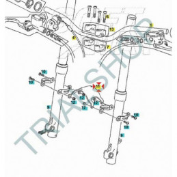 Puente Suspension Trial 50cc