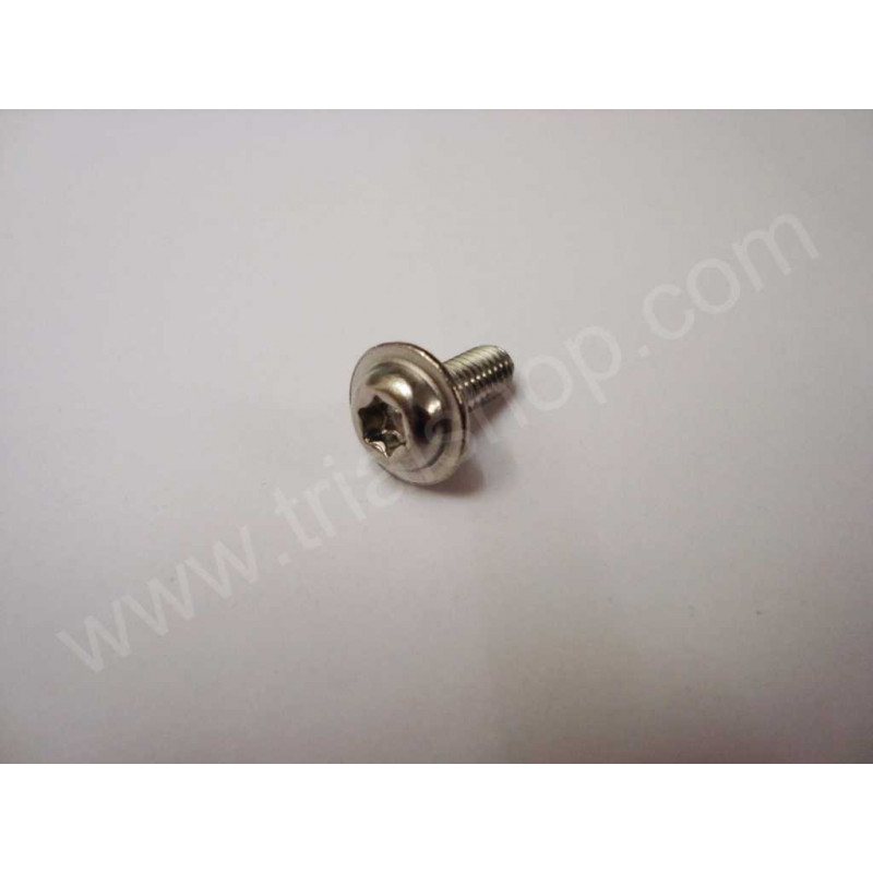Torx 4X10 paso 0.7 inox
