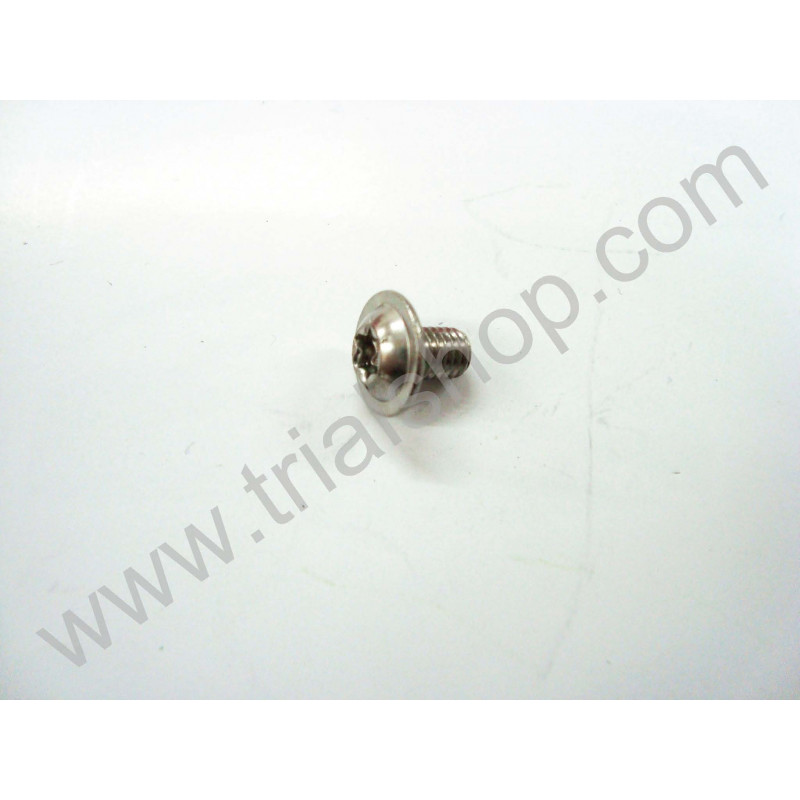 Torx M5X8