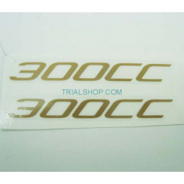 STICKER 300cc ICE/RR 2017