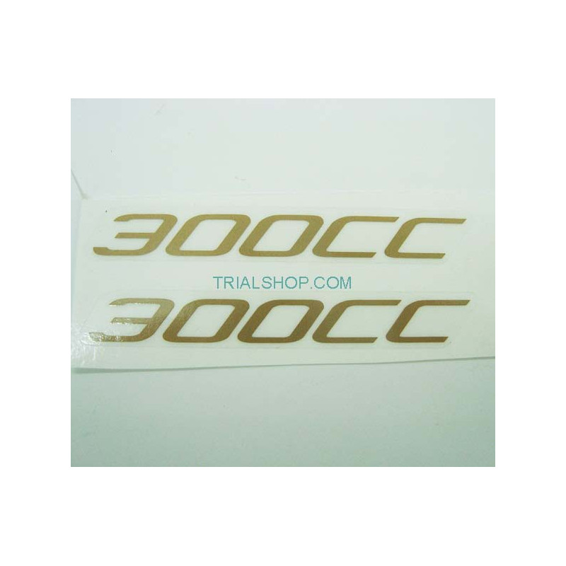 STICKER 300cc ICE/RR 2017