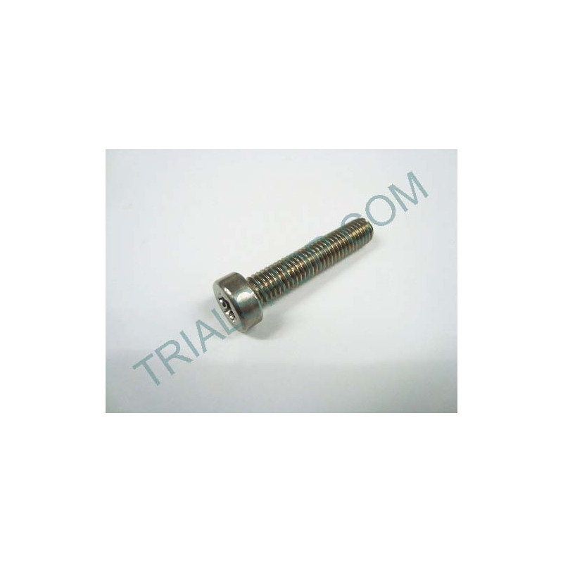 Torx 5X25 paso 0.8 inox