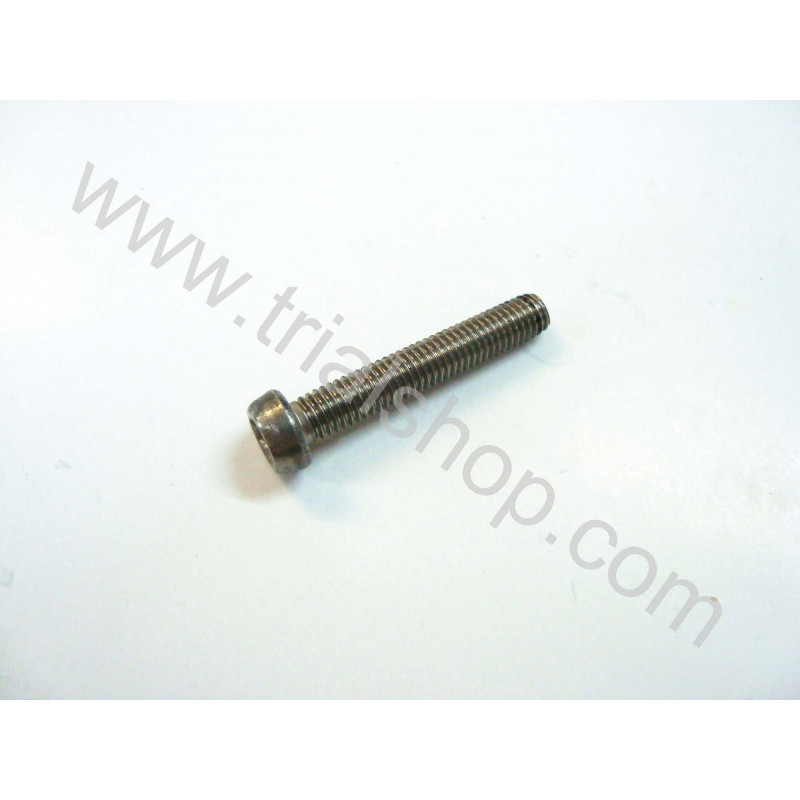 Torx 5X30 paso 0.8 inox