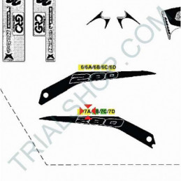 ADESIVO CASSA FILTRO DX 200cc GIALLO 2005