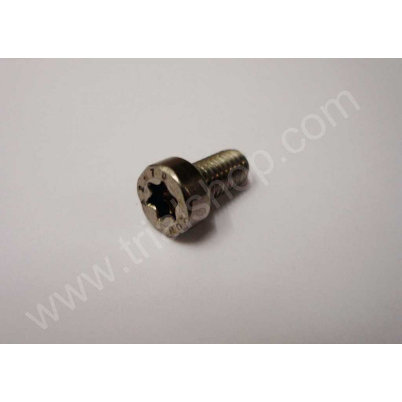 Torx M6X12 paso 100