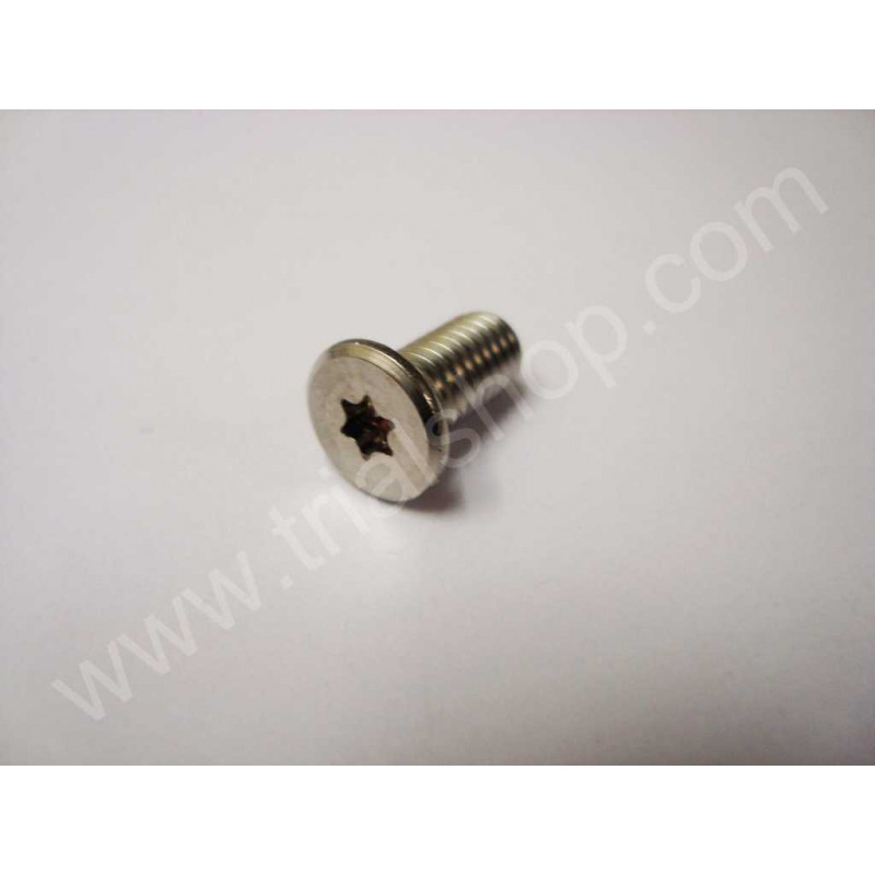 Torx 6X12 inox