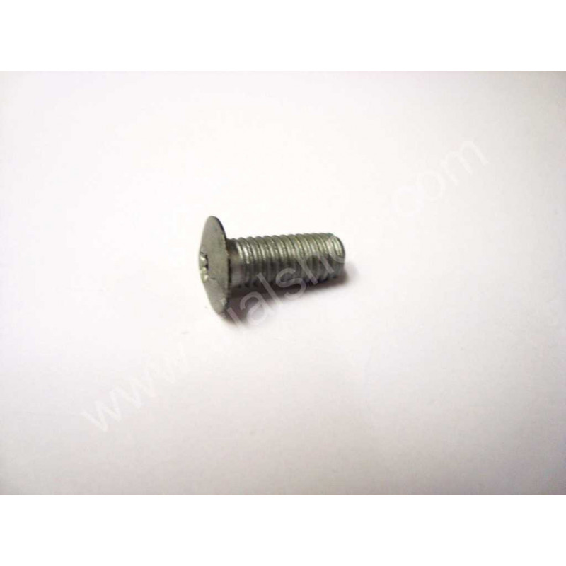 Torx 6×16 paso 100