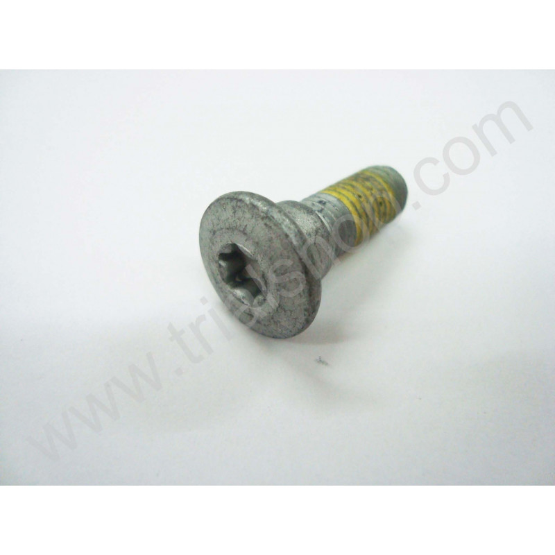 Torx 8X24 paso 125