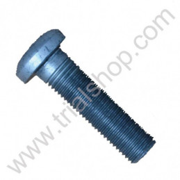 Torx 12X40 paso 125